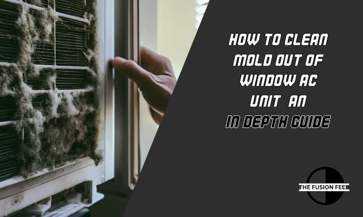 How To Clean Mold Out Of Window AC Unit? An In-Depth Guide