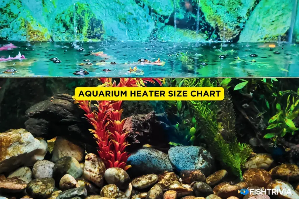 Guppy Aquarium Heater Size Guide